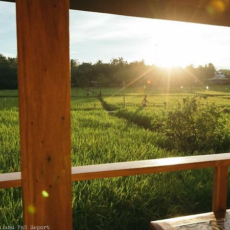 Guerrera Rice Paddy Villas Mambajao Exteriör bild