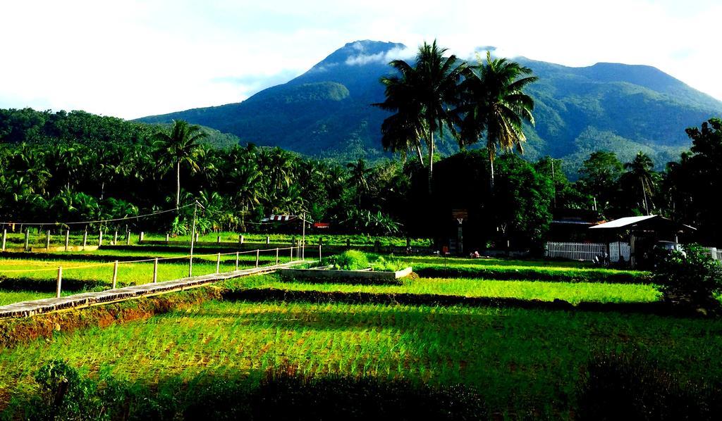 Guerrera Rice Paddy Villas Mambajao Exteriör bild
