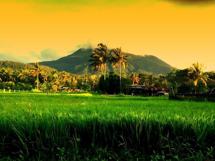Guerrera Rice Paddy Villas Mambajao Exteriör bild