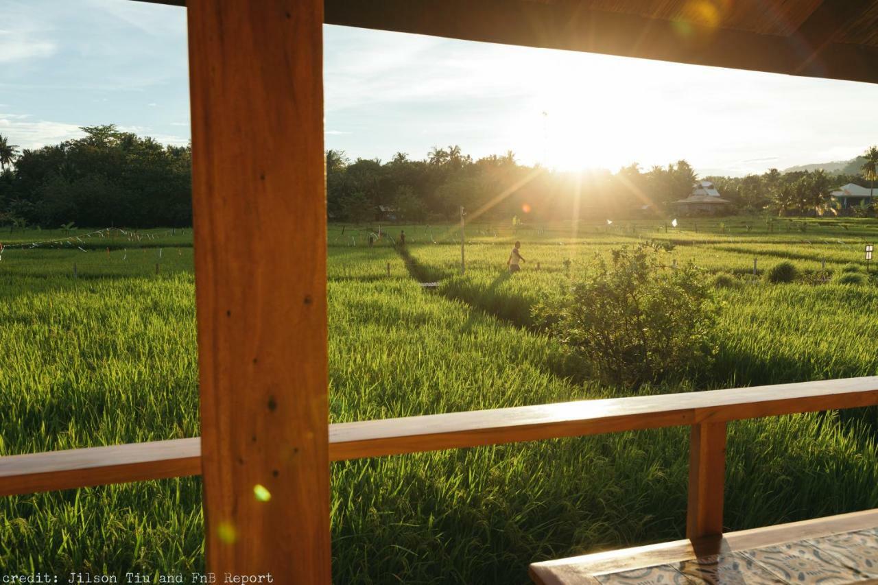 Guerrera Rice Paddy Villas Mambajao Exteriör bild